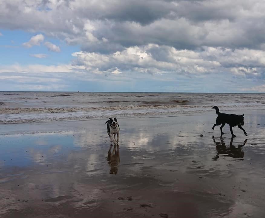 Bridlington'S Bolt Hole Chalet Экстерьер фото